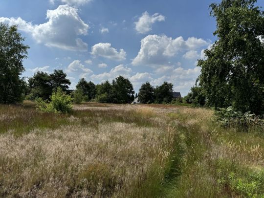BOUWGROND TE KOOP PELT